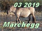 Marchegg